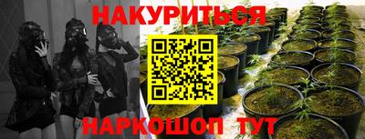 наркотики Кунгур